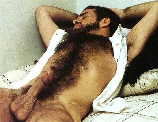 Featured bear