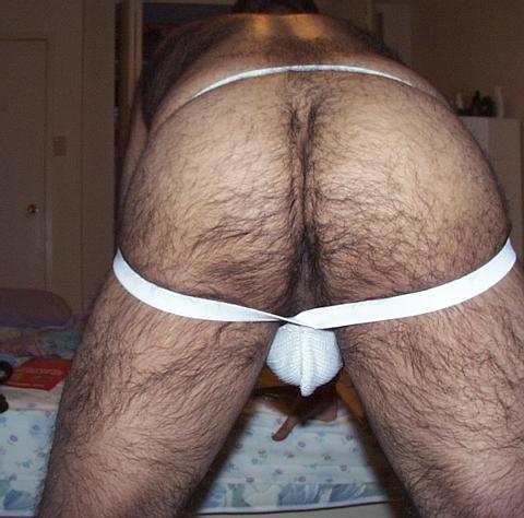 Featured bear
