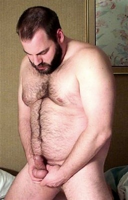 Featured bear