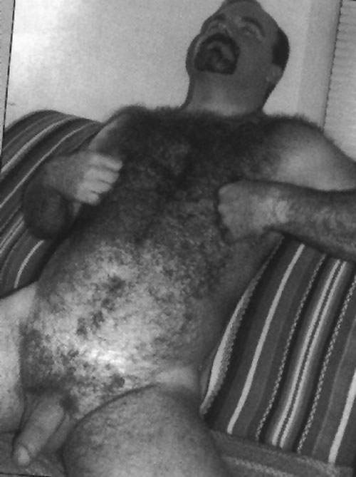 Featured bear