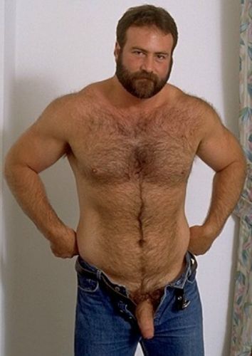 Featured bear