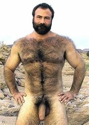Featured bear