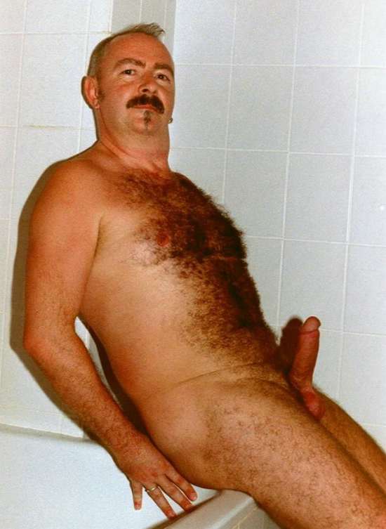 Featured bear