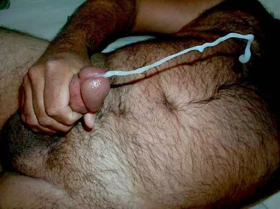 Featured bear