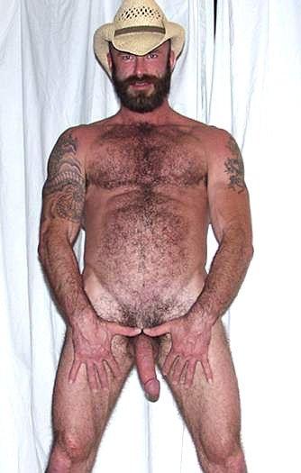 Featured bear