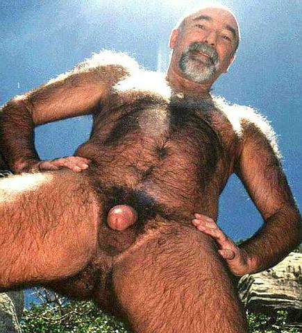 Featured bear