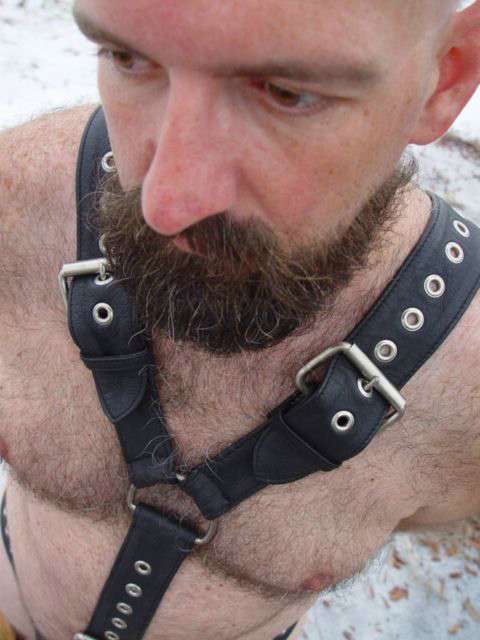 Featured bear