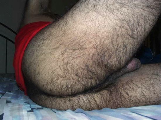 Featured bear