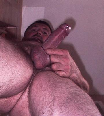 Featured bear