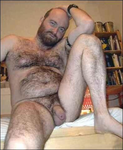 Featured bear