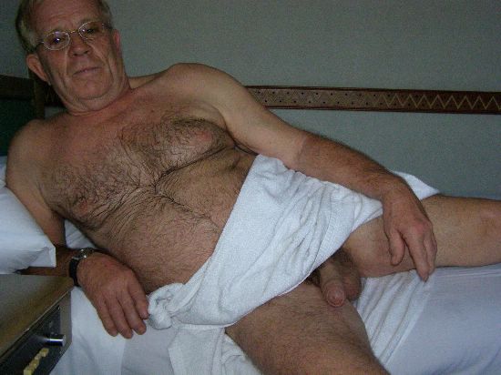 Featured bear