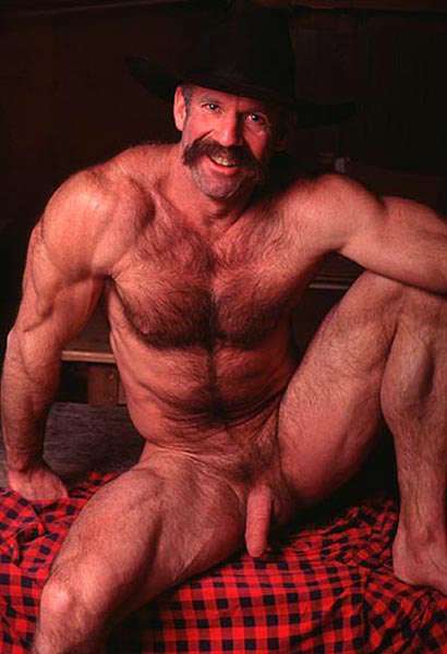Featured bear