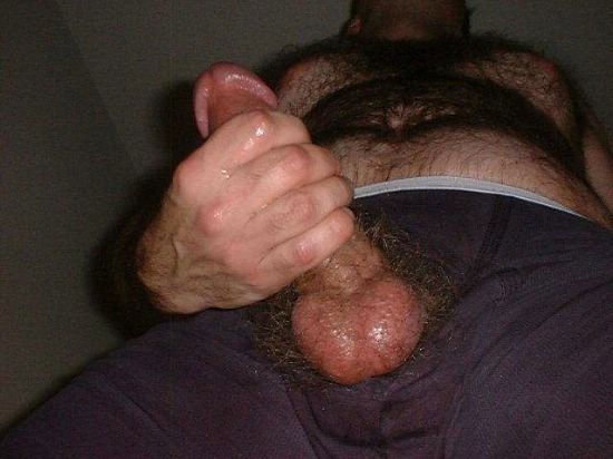 Featured bear