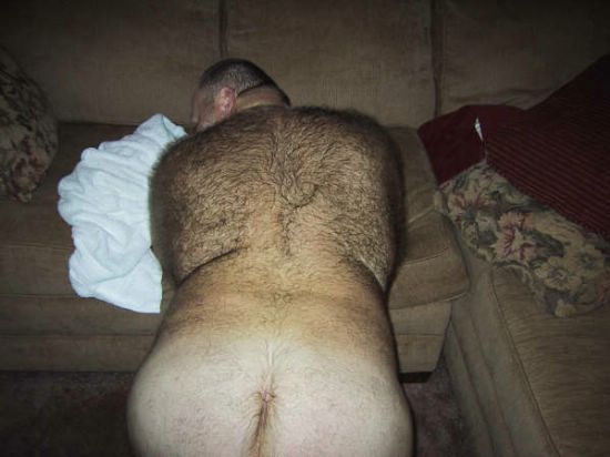 Featured bear