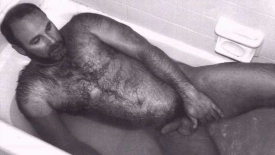 Featured bear