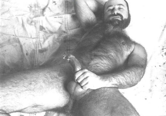 Featured bear