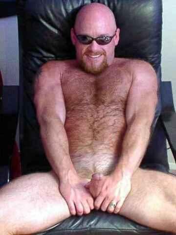 Featured bear