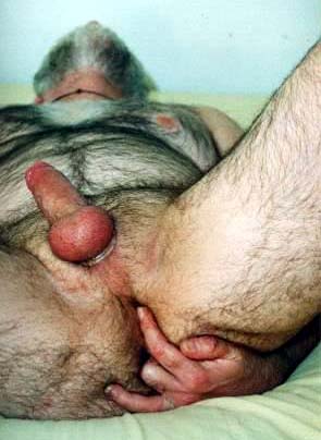 Featured bear