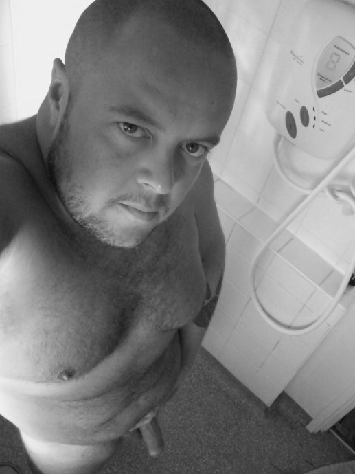 Featured bear