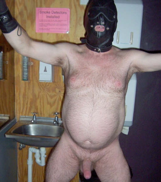 Featured bear