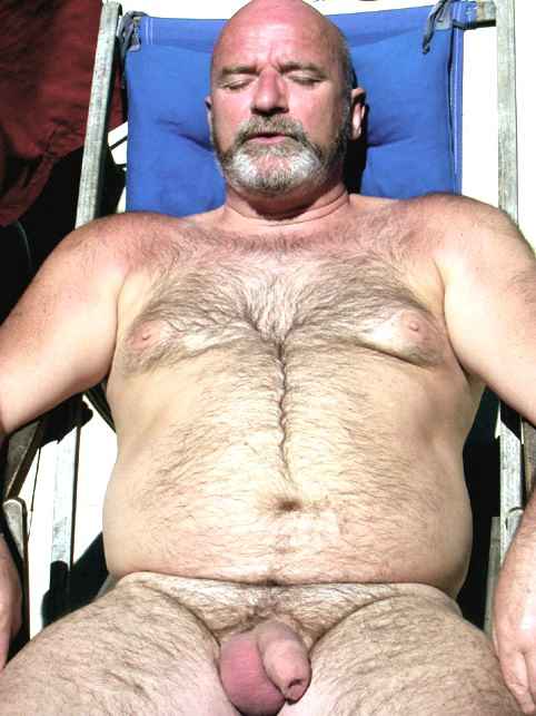 Featured bear