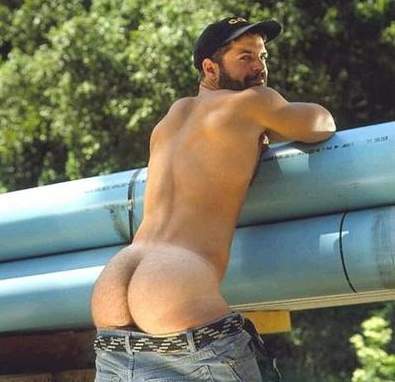 Featured bear