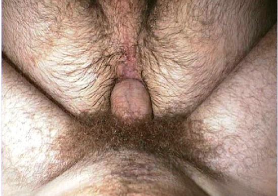 Featured bear
