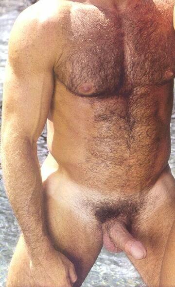 Featured bear