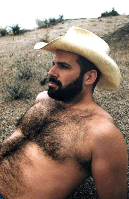 Featured bear