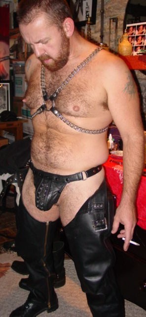 Featured bear