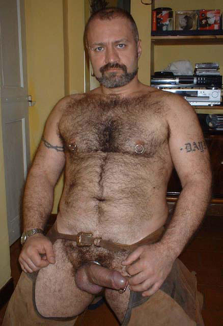 Featured bear