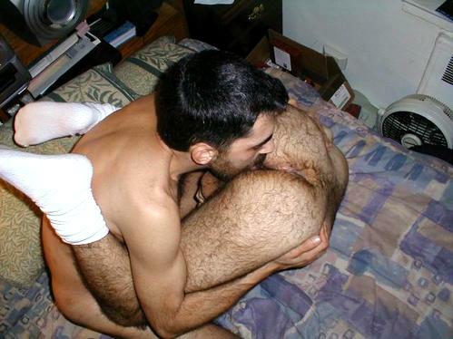 Featured bear