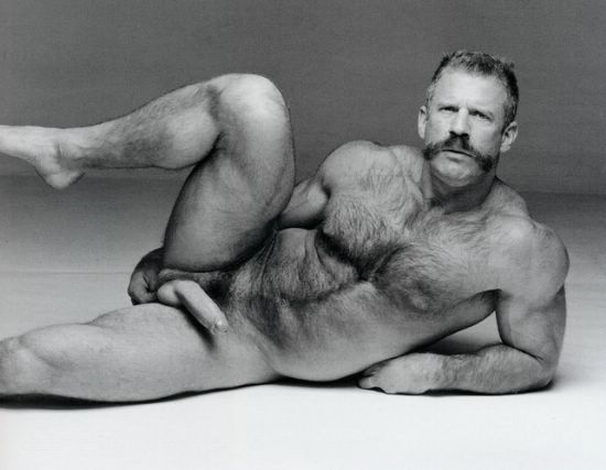 Featured bear
