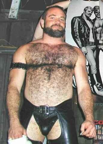 Featured bear