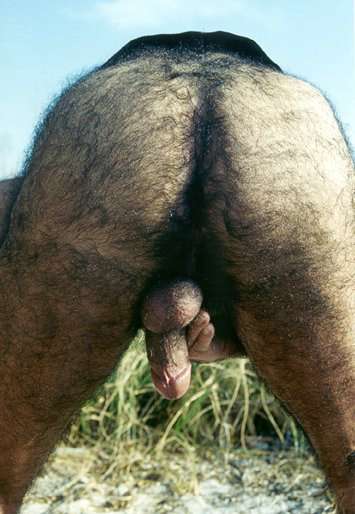 Featured bear