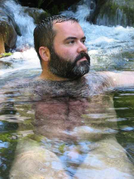 Featured bear