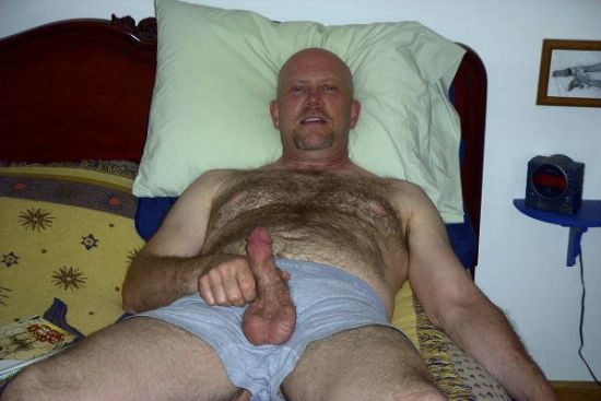 Featured bear