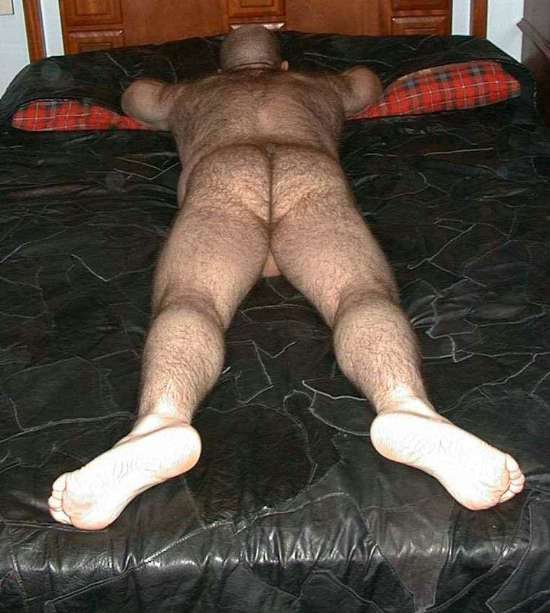 Featured bear