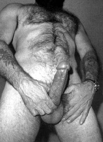 Featured bear