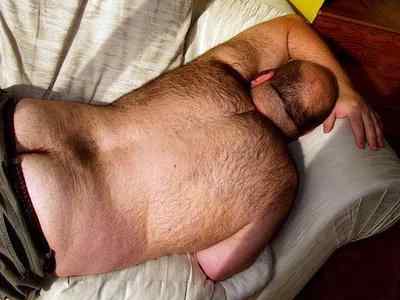 Featured bear