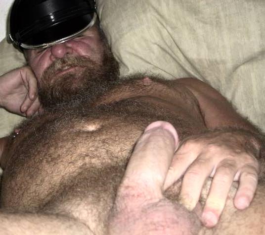 Featured bear