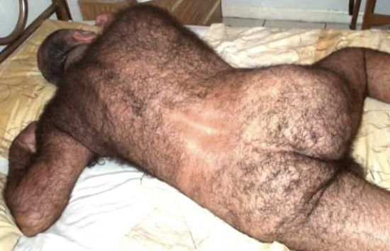Featured bear