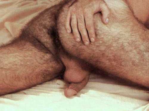 Featured bear