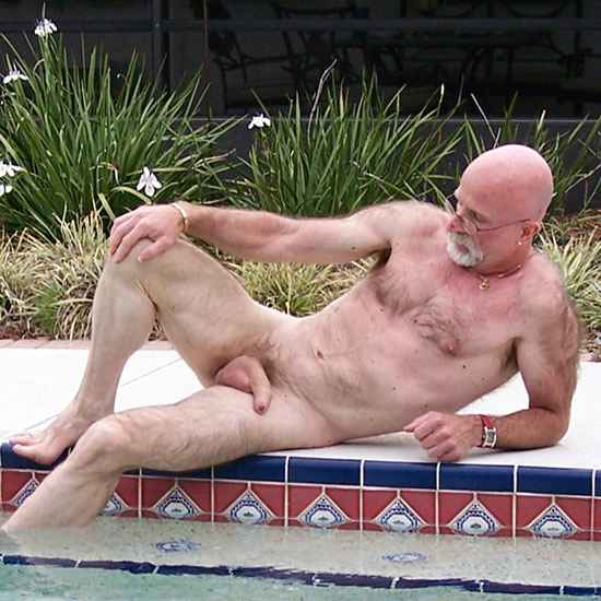 Featured bear