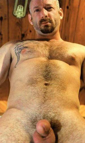 Featured bear