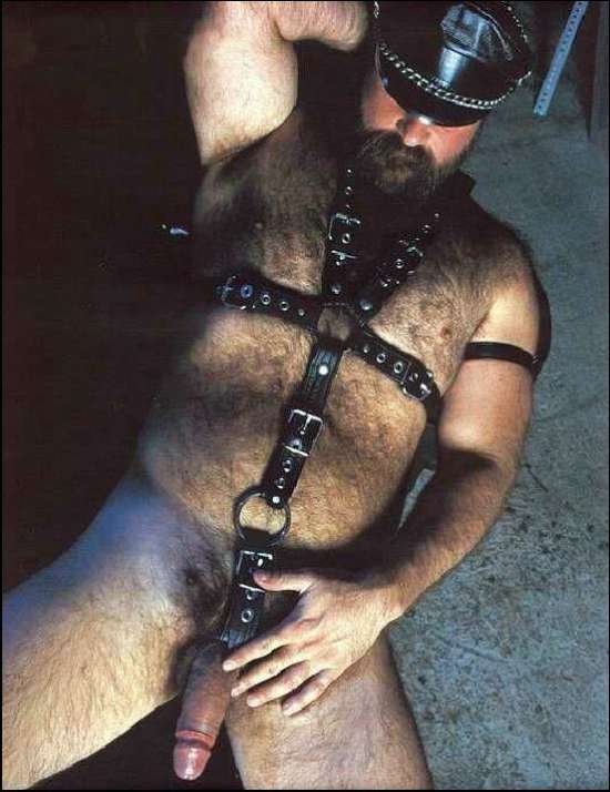 Featured bear