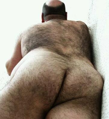 Featured bear