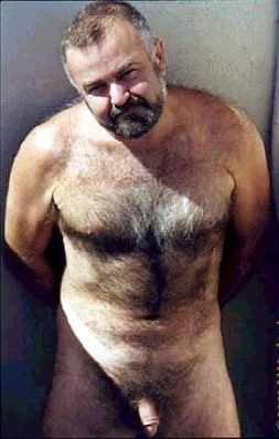 Featured bear