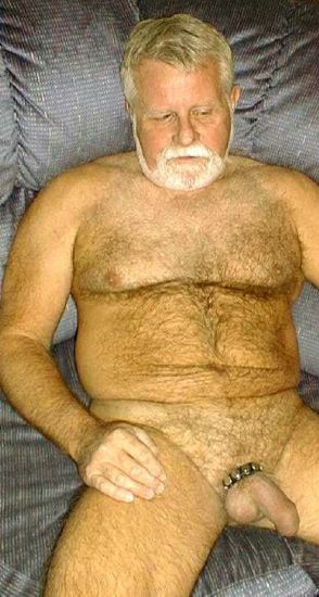 Featured bear