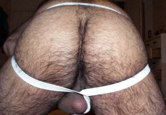 Featured bear